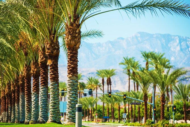 Palm Springs and Joshua Tree Self-Guided Driving Audio Tours - Joshua Tree starts where two deserts meet