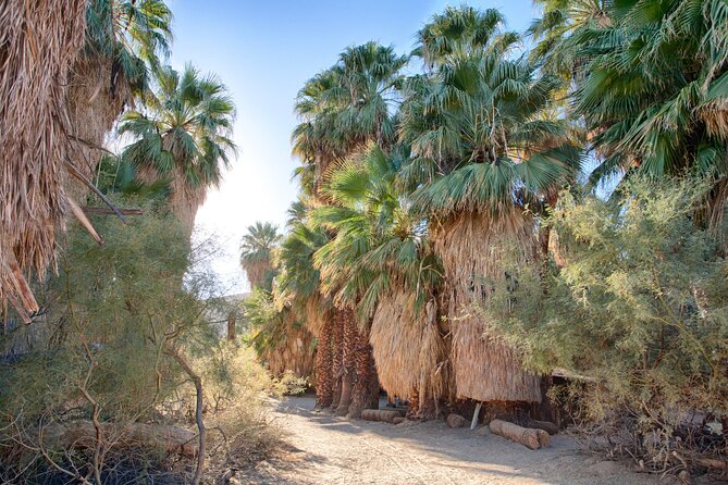 Palm Springs Self-Guided Driving Audio Tour - Robolights and the Walk of the Stars add local character