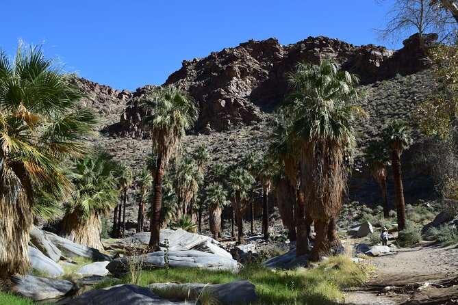 Palm Springs Self-Guided Driving Audio Tour - The desert trails require more time than the audio stops