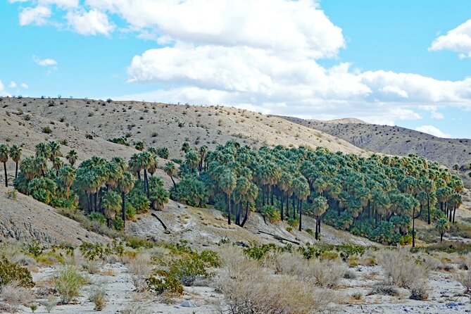 Palm Springs Self-Guided Driving Audio Tour - The Movie Colony puts the celebrity story first