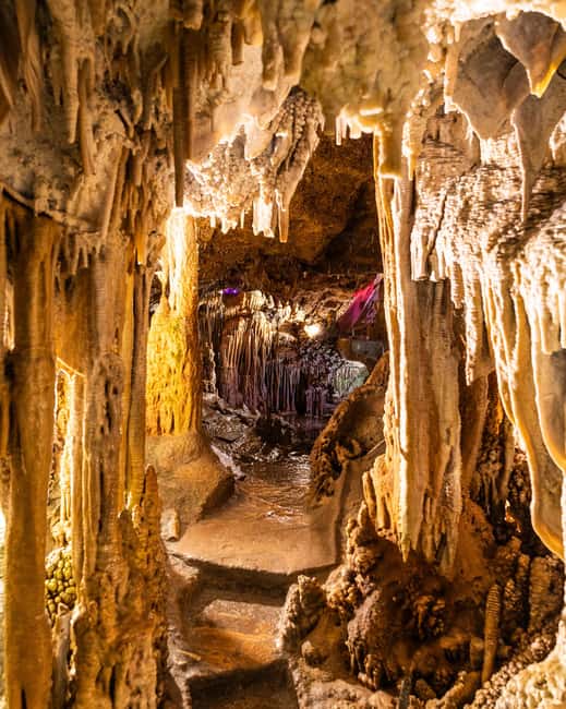Palma: Caves of Genova Ticket & Digital Audio Guide - The stairs, humidity, and slippery surfaces matter