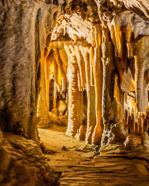 Palma: Caves of Genova Ticket & Digital Audio Guide - Why the quiet setting can be the best part