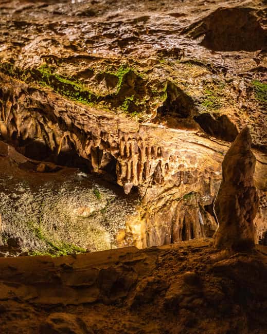 Palma: Caves of Genova Ticket & Digital Audio Guide - What you see at 36 meters below Palma
