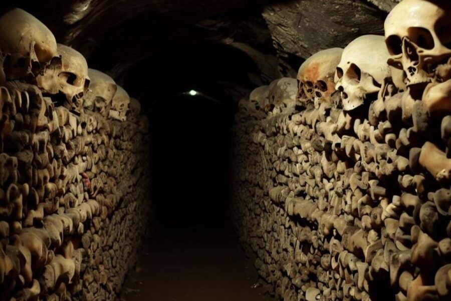 Paris: Catacombs, Audio Guide, and River Cruise Option - Who Will Enjoy This Visit Most