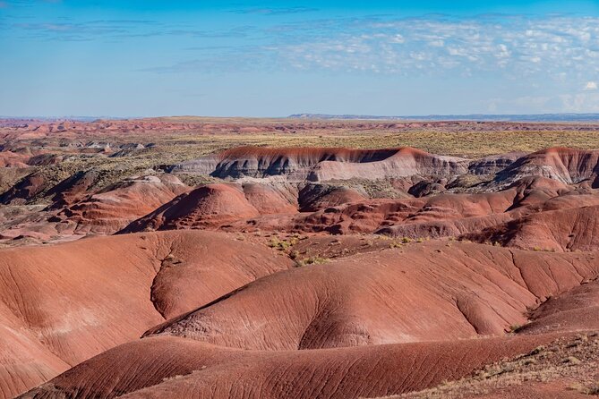 Petrified Forest National Park Self Guided Audio Driving Tour - A low-cost way to read the Painted Desert