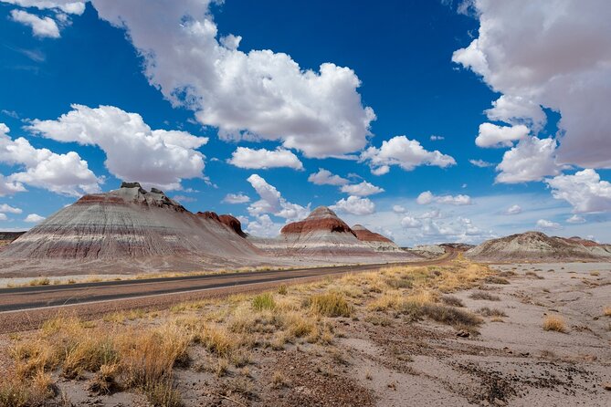 Petrified Forest National Park Self Guided Audio Driving Tour - Painted Desert Visitor Center and Kachina Point