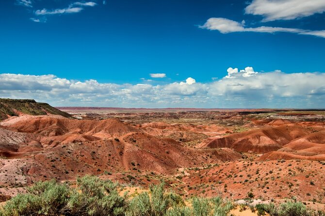Petrified Forest National Park Self Guided Audio Driving Tour - Price, timing, and who gets the best value