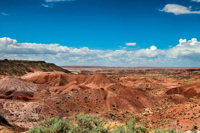 Petrified Forest National Park Self-Guided Driving Audio Tour - Blue Mesa, the tour’s essential detour