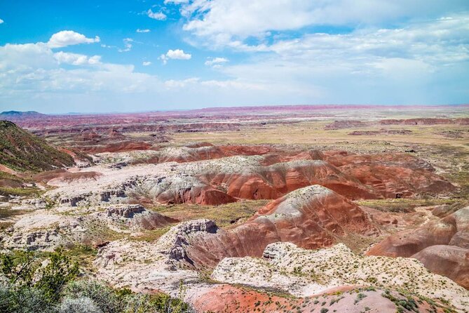 Petrified Forest National Park Self-Guided Driving Audio Tour - Crystal Forest and the final stop at Rainbow Forest