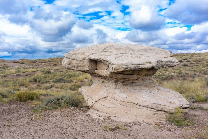 Petrified Forest National Park Self-Guided Driving Audio Tour - How the GPS and offline features perform