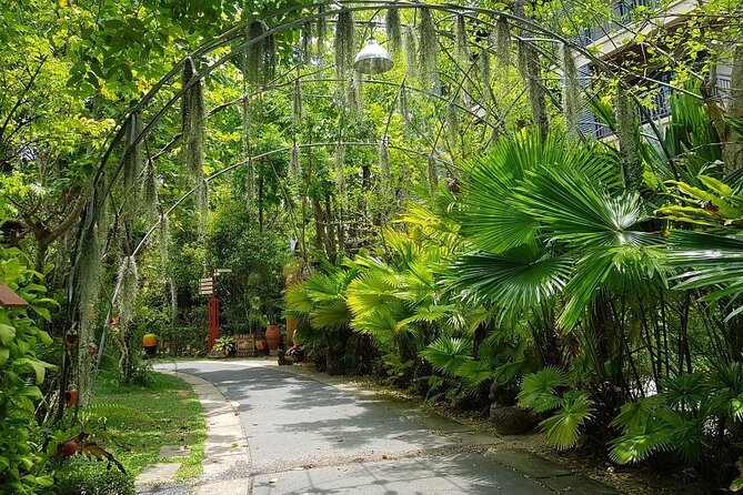 Phuket Self-Guided Audio Tour - Bangla Road and Phuket’s changing nightlife