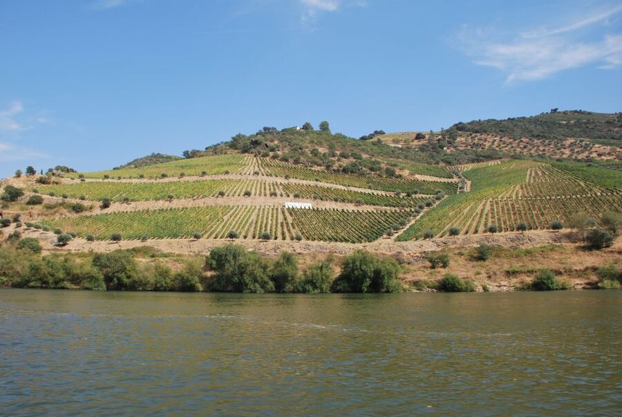 Pinhão: 2-Hour Rabelo Boat Tour with Audio Guide - A quiet ride through Portugal’s Douro wine country