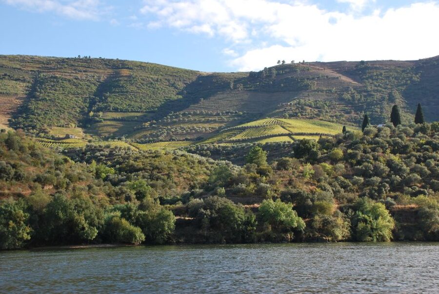 Pinhão: 2-Hour Rabelo Boat Tour with Audio Guide - Reaching Foz Tua and the Tua dam