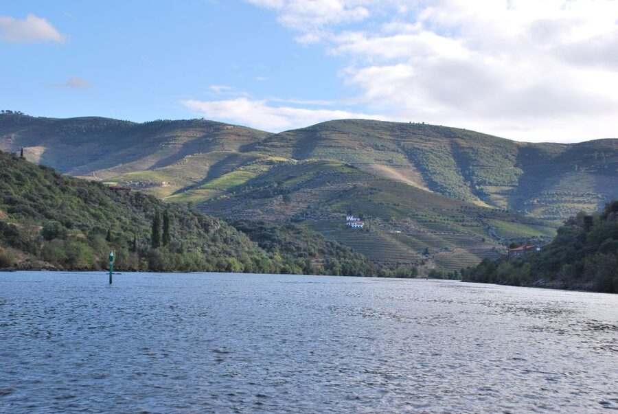 Pinhão: 2-Hour Rabelo Boat Tour with Audio Guide - Quinta das Carvalhas and the final approach to Pinhão