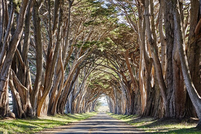 Point Reyes National Seashore Self Guided Driving Audio Tour - Drakes Estero and the 2.5-mile walking option