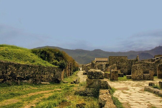 Pompeii Archaeological Park Skip-the-line Entry and Audio Guide - The House of the Faun and Pompeii’s private homes