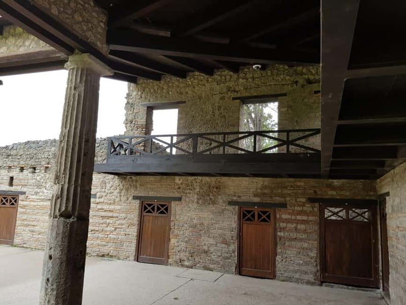 Pompeii: Entry Ticket w/ Guide and Transfers or Audio Guide - The plaster casts and the human cost of 79 AD