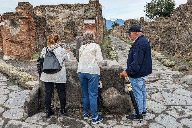 Pompeii Fast Track Entry with Audio Guide - The Garden of the Fugitives brings the eruption close