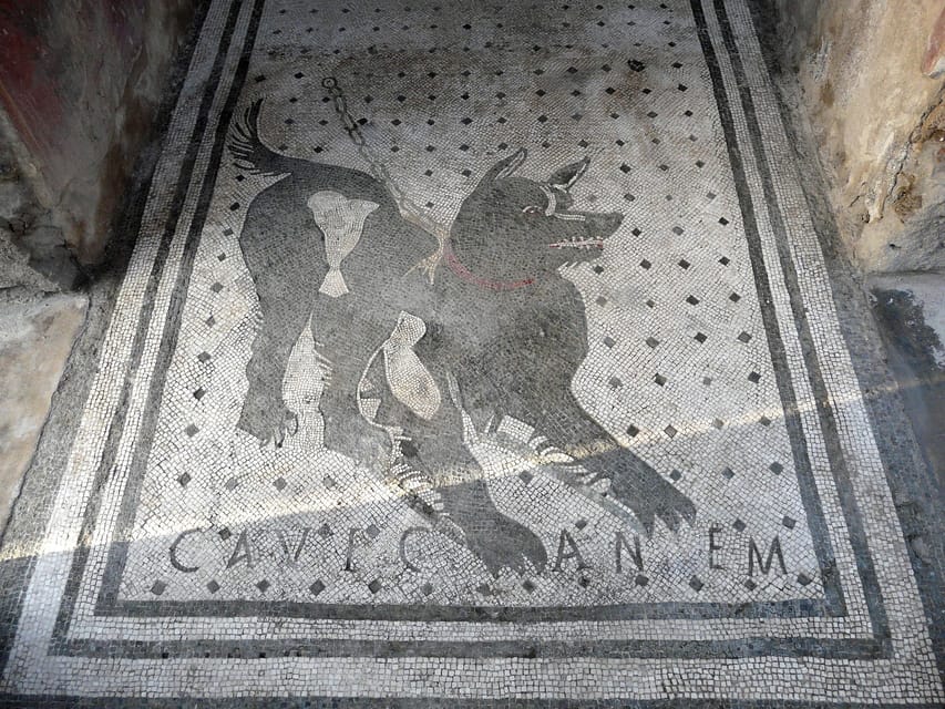 Pompeii: Skip-the-Line Entry & Audioguide - Meeting at the IBT Center Near Chalet Donna Lucia