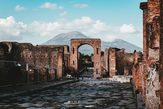 Pompeii: Skip the line ticket (art) + audioguide + map - Inside the Archaeological Park