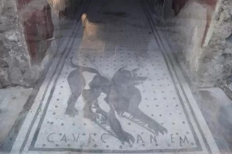 Pompeii: Skip the Line Ticket + Audioguide - The ticket and the real meaning of skip the line