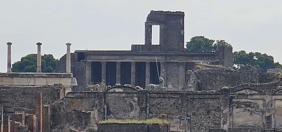 Pompeii, skip-the-line ticket with smartphone audio guide on App - Who Should Book This Pompeii Ticket?