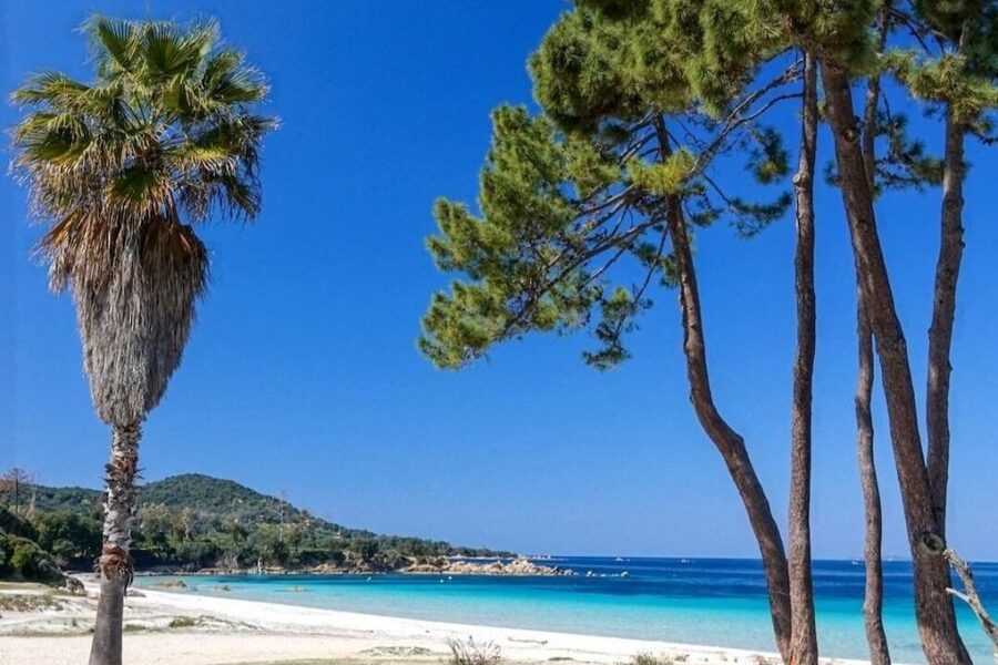 Porticcio: Coastal Train Ticket with Audio Guide & Tastings - Practical details that affect your choice