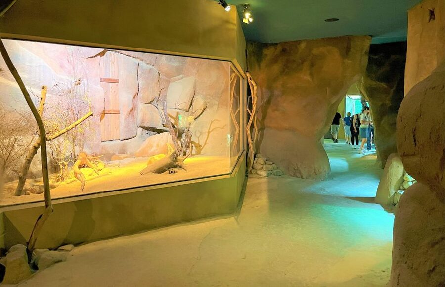 Prague: Prague Zoo Audio Guide with E-Ticket - Key points to know before you go
