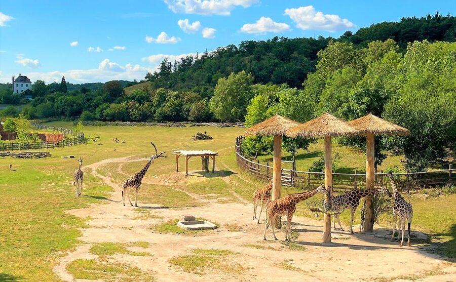 Prague: Prague Zoo Audio Guide with E-Ticket - Internet access is part of the equipment