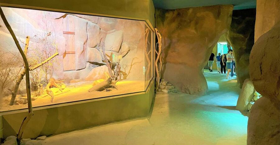 Prague: Prague Zoo Audio Guide with E-Ticket - Prague Zoo is a full-day visit, not a quick stop