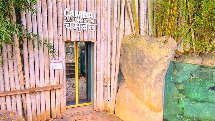 Prague: Prague Zoo Audio Guide with E-Ticket - Nearly 5,000 animals across many pavilions