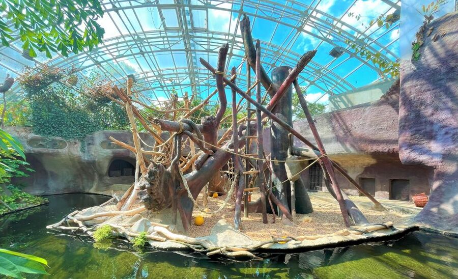 Prague: Prague Zoo Audio Guide with E-Ticket - Is the $22 price good value?