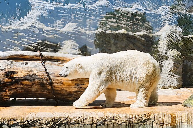 Prague Zoo Ticket with Online Audio Guide - Key Points for Planning Your Prague Zoo Visit