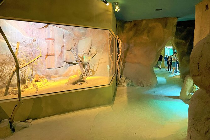 Prague Zoo Ticket with Online Audio Guide - Is $28.74 a Fair Price?