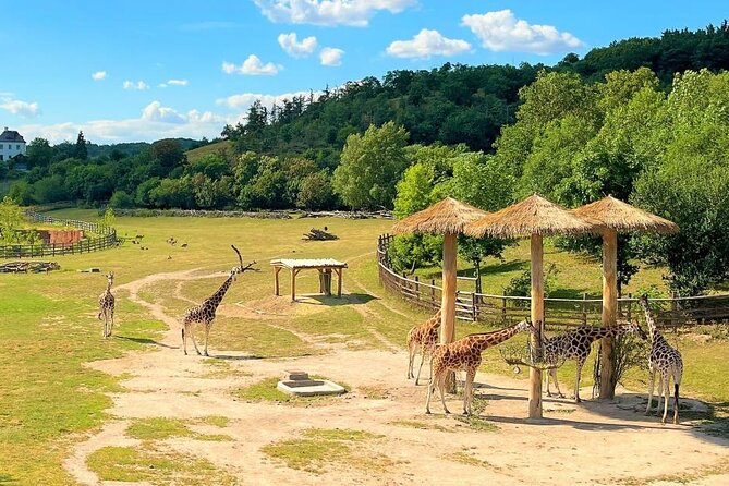 Prague Zoo Ticket with Online Audio Guide - Who Will Get the Most From This Format?
