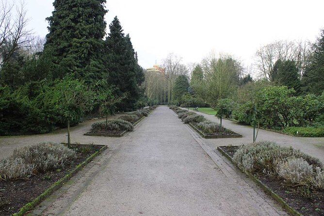Private audio book city rally around the Rombergpark in Dortmund - Exploring the small park paths