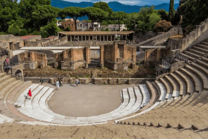 Private Audio Guided Walking Tour in Pompei - Who will get the most from this Pompeii tour