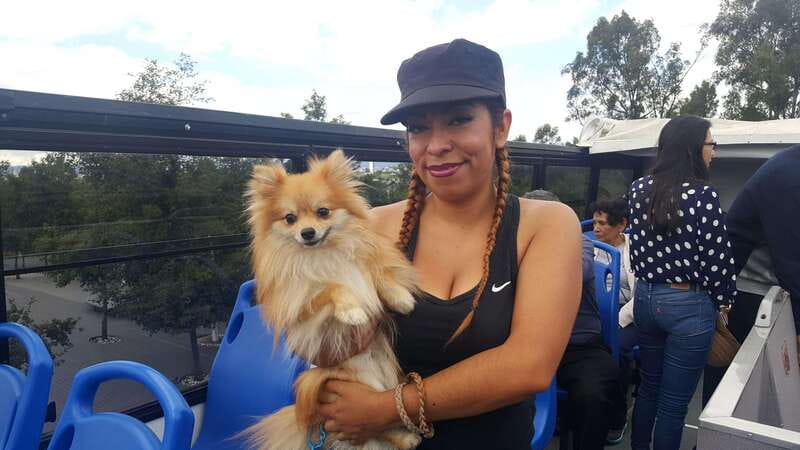 Puebla: Hop-On Hop-Off Bus Tour with Audio Guide - Museums, the exhibition center, and the cable car