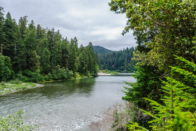 Redwood National and State Parks Self-Guided Audio Driving Tour - Crescent Beach begins with wild Pacific scenery