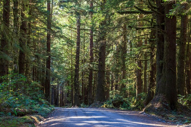 Redwood National and State Parks Self-Guided Audio Driving Tour - Quirky roadside stops keep the drive lively