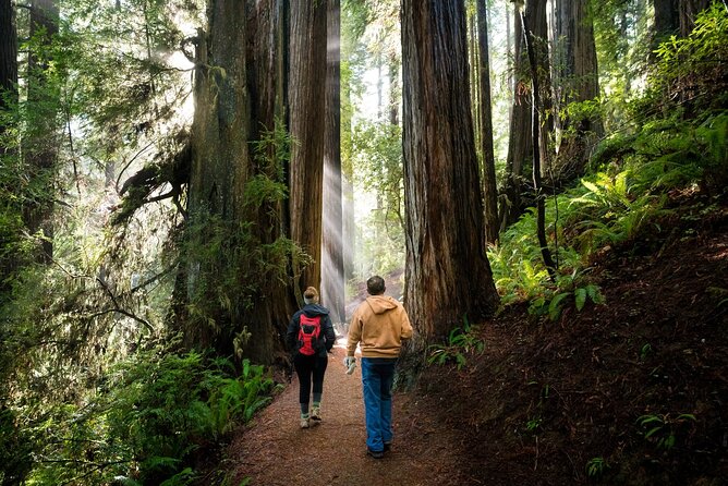 Redwood National Park Self-Guided Audio Tour - Crescent City beaches and Enderts Beach