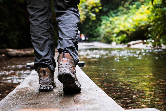 Redwood National Park Self-Guided Audio Tour - Trees of Mystery and the Klamath coast