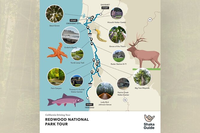 Redwood National Park Self-Guided Audio Tour - Elk Meadow, Gold Bluffs, and Fern Canyon