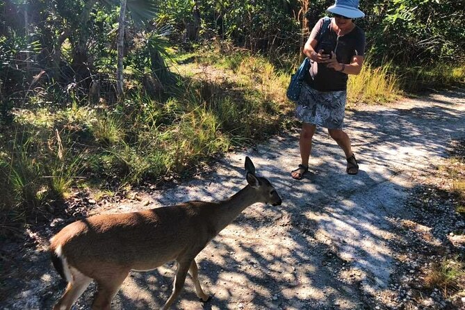 Road Trip through the Lower Keys Audio Tour - Who will enjoy this Lower Keys route