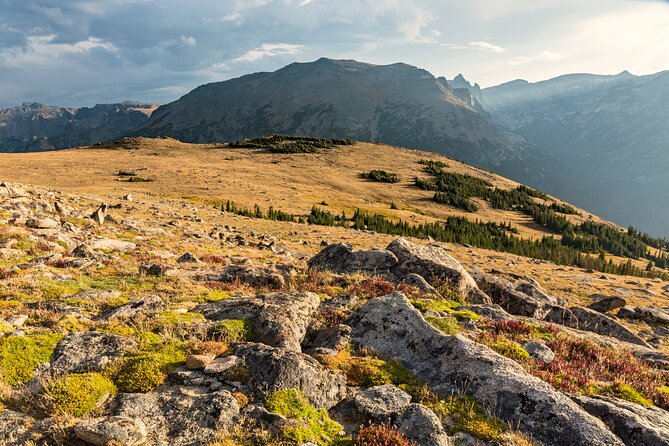 Rocky Mountain National Park Self-Guided Audio Tour - Wildlife country around Horseshoe Park