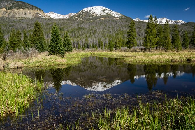 Rocky Mountain National Park Self-Guided Driving Audio Tour - How the audio tour works on the road