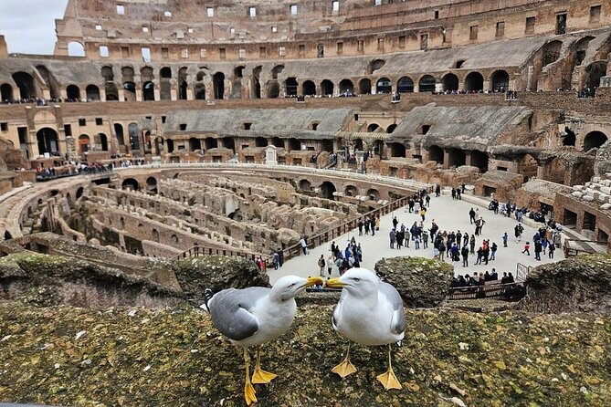 Rome: Colosseum, Roman Forum & Palatine Hill Visit + Audio Guide - Finding the host near the Arch of Constantine