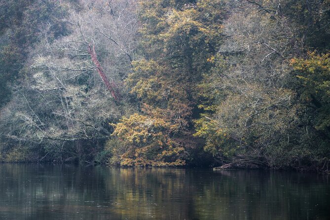Saguaro National Park Self-Guided Driving Audio Tour - Signal Hill and the Hohokam petroglyphs