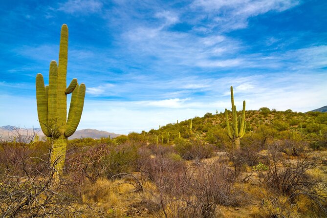 Saguaro NP and Mt. Lemmon Self Guided Driving Audio Tour Bundle - Key points to know before you go