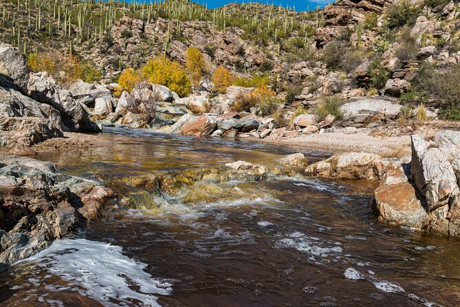 Saguaro NP and Mt. Lemmon Self Guided Driving Audio Tour Bundle - How the app works, and where it can fail